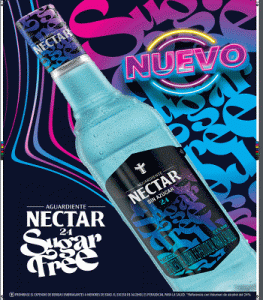 NETAR CUARTETO JUNIO